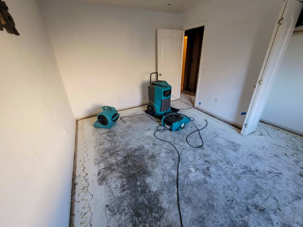 Best Flood damage cleanup  in Sierra Vista Southeast, AZ