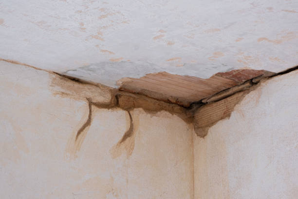 Best Flood damage cleanup  in Sierra Vista Southeast, AZ