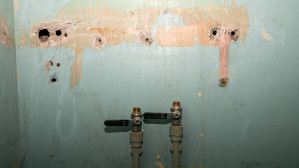 Best Water damage restoration insurance claims  in Sierra Vista Southeast, AZ