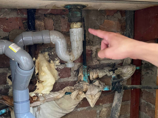 Best 24/7 water damage repair  in Sierra Vista Southeast, AZ